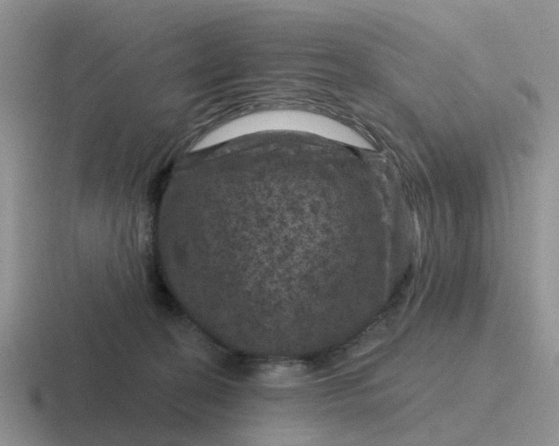 X0000116870274201001051450