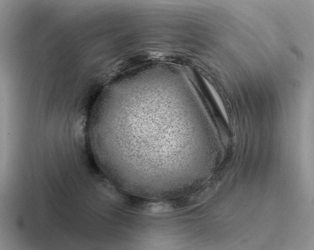 X0000116870275201001051450