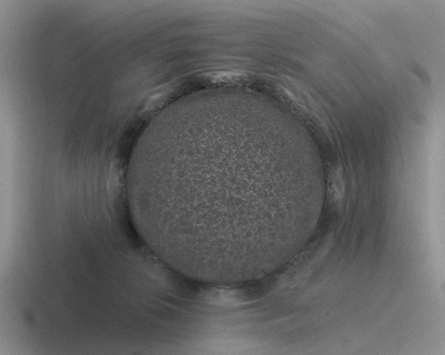 X0000116870276201001051450