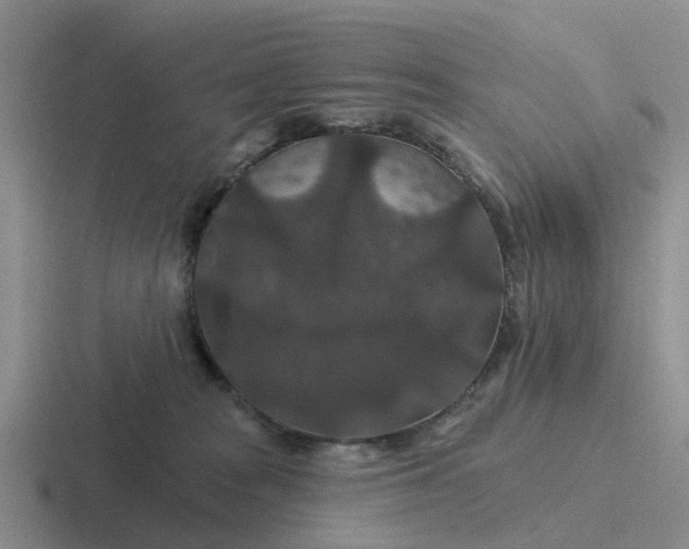 X0000116870277201001051450