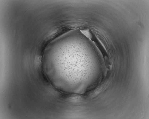 X0000116870278201001051450