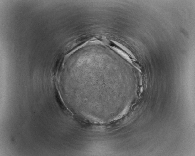 X0000116870279201001051450