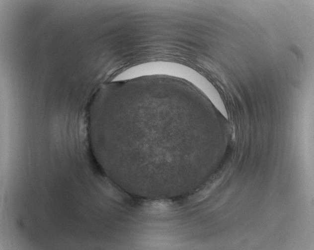 X0000116870282201001051450