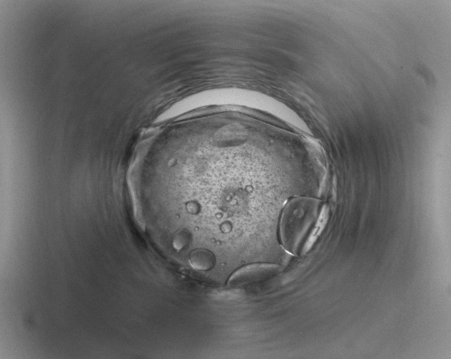 X0000116870283201001051450