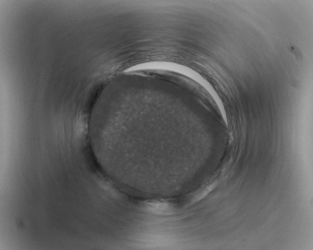 X0000116870284201001051450