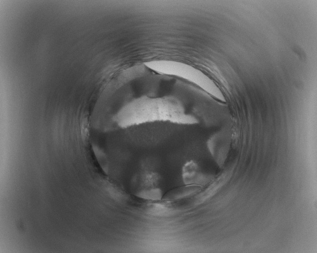 X0000116870285201001051450