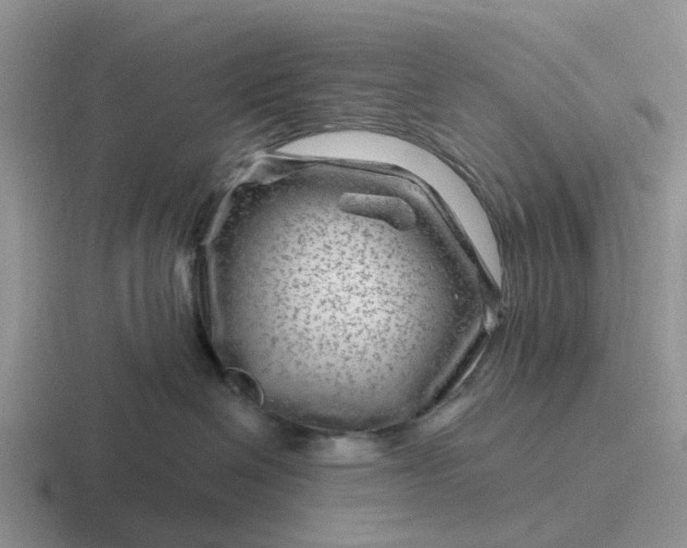 X0000116870286201001051450