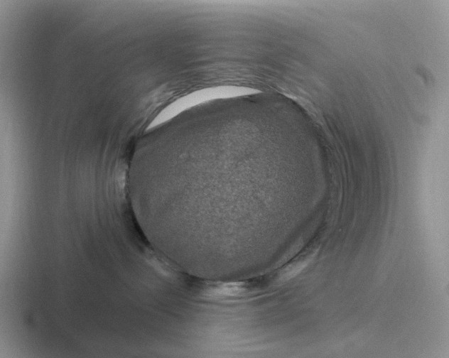 X0000116870288201001051450