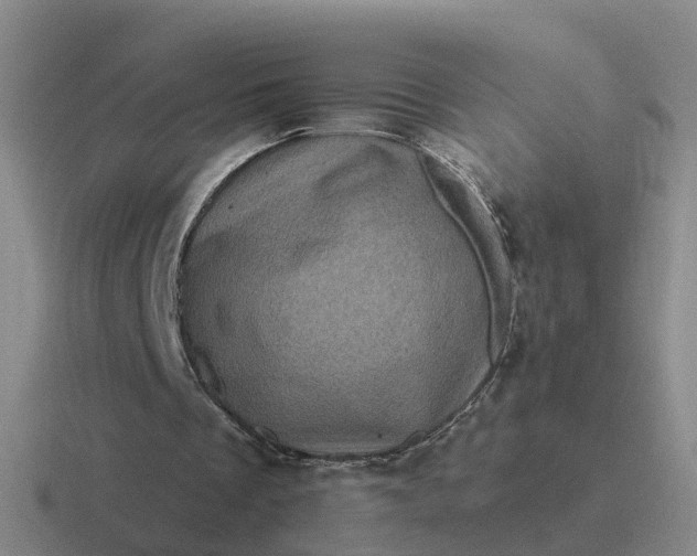 X0000116870289201001051450