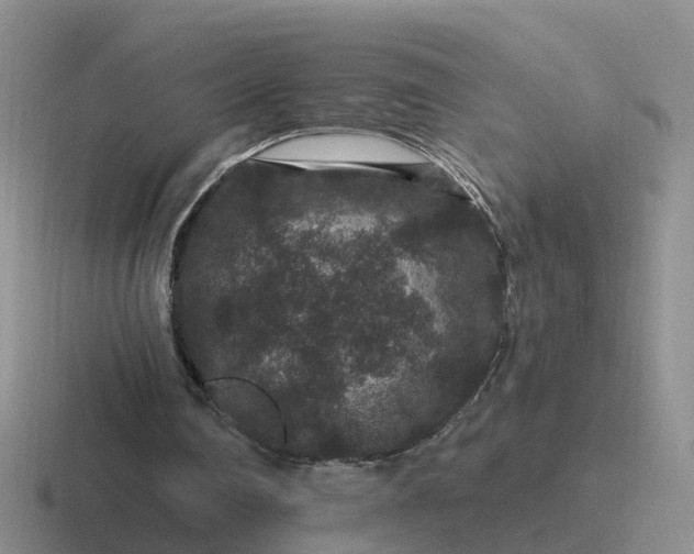 X0000116870290201001051450