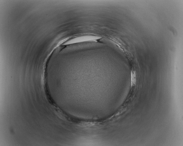 X0000116870291201001051450