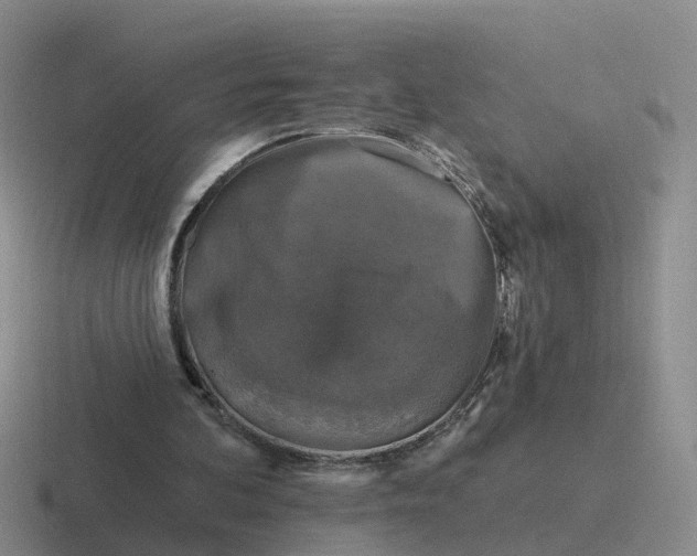 X0000116870292201001051450