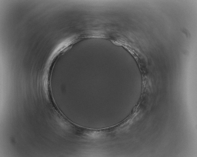 X0000116870293201001051450