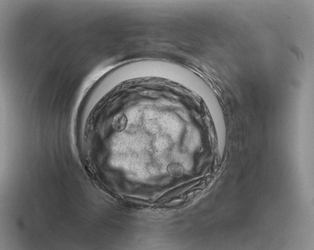 X0000116870294201001051450