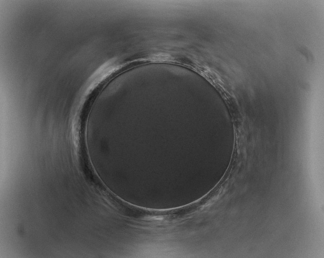 X0000116870295201001051450