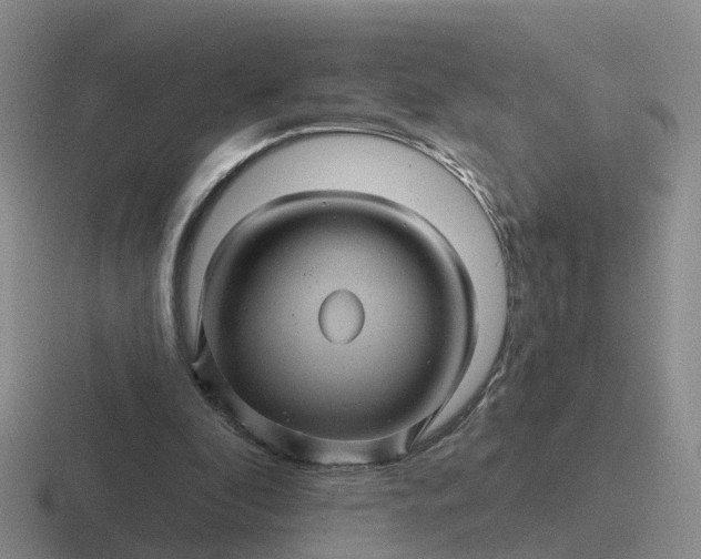 X0000116870296201001051450