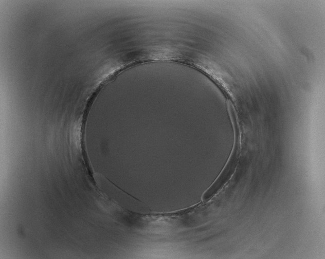 X0000116870297201001051450