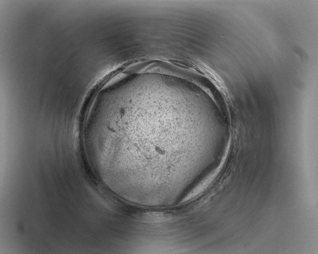 X0000116870298201001051450