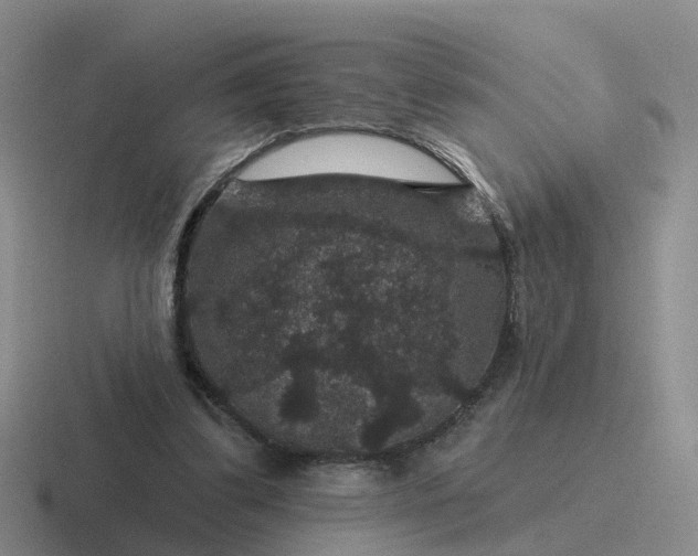 X0000116870299201001051450