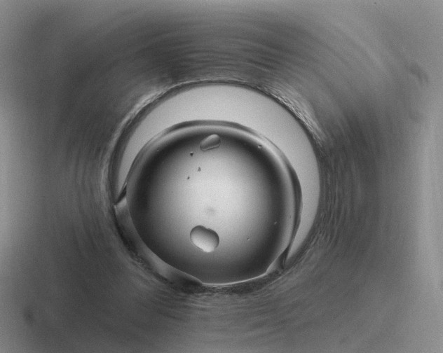 X0000116870300201001051450