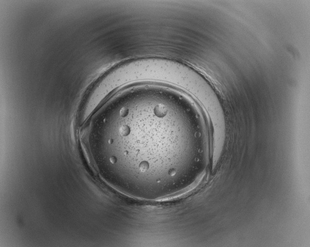 X0000116870302201001051450