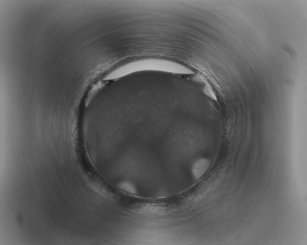 X0000116870303201001051450