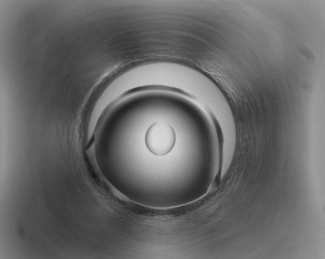 X0000116870304201001051450