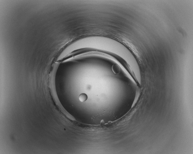 X0000116870305201001051450