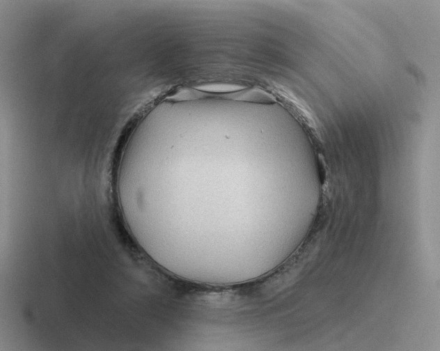 X0000116870306201001051450