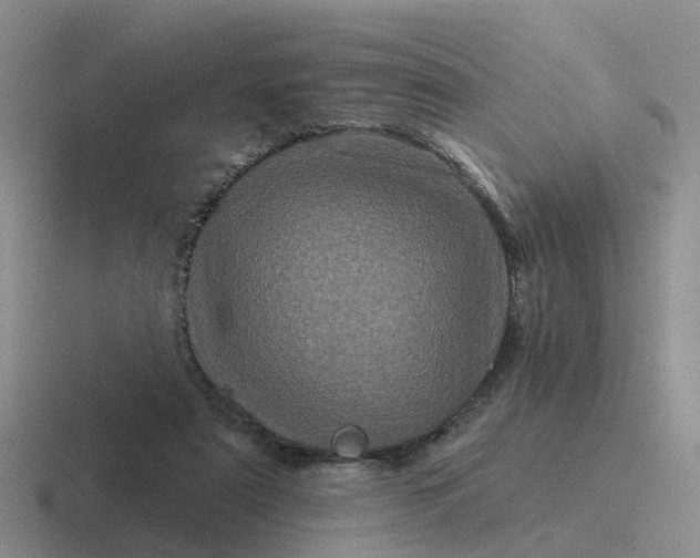 X0000116870307201001051450