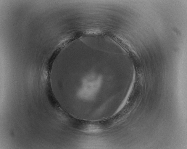 X0000116870308201001051449