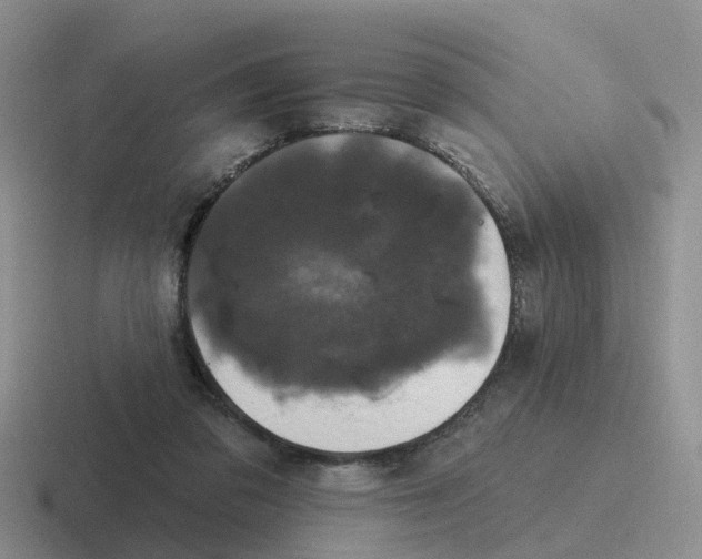 X0000116870309201001051449