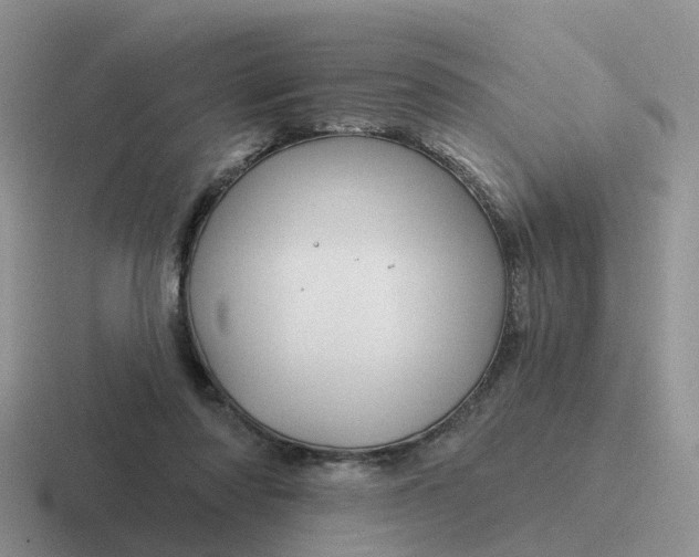 X0000116870310201001051449