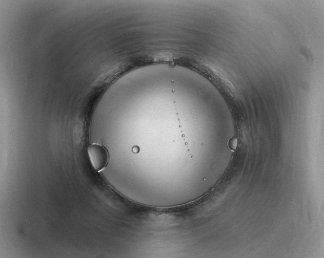 X0000116870311201001051449