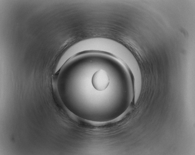 X0000116870312201001051449