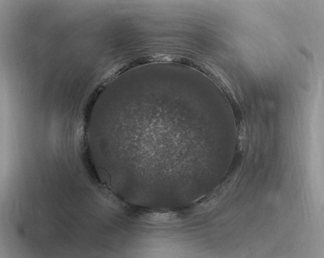 X0000116870314201001051449