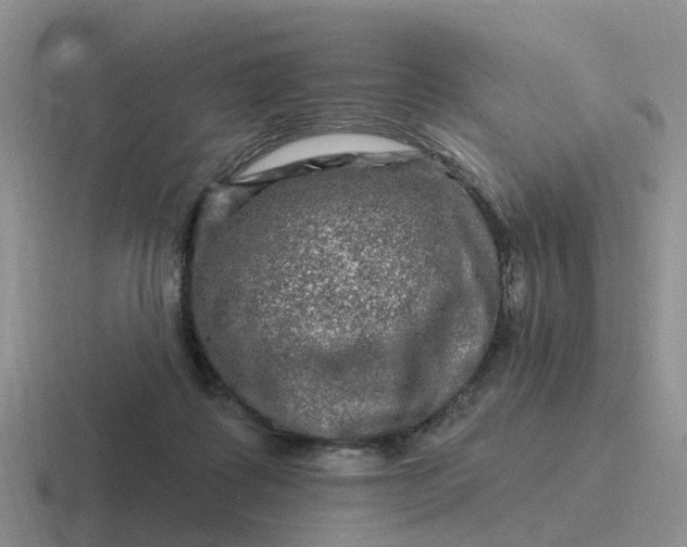 X0000116870315201001051449