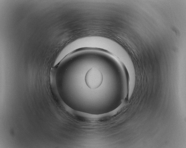 X0000116870316201001051449