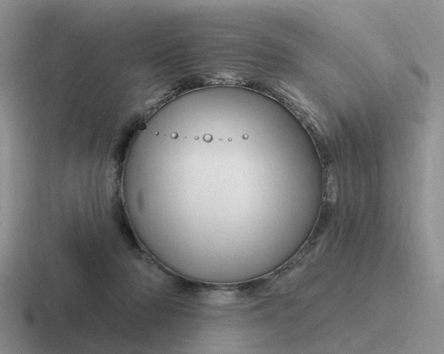 X0000116870318201001051449