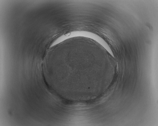 X0000116870319201001051449