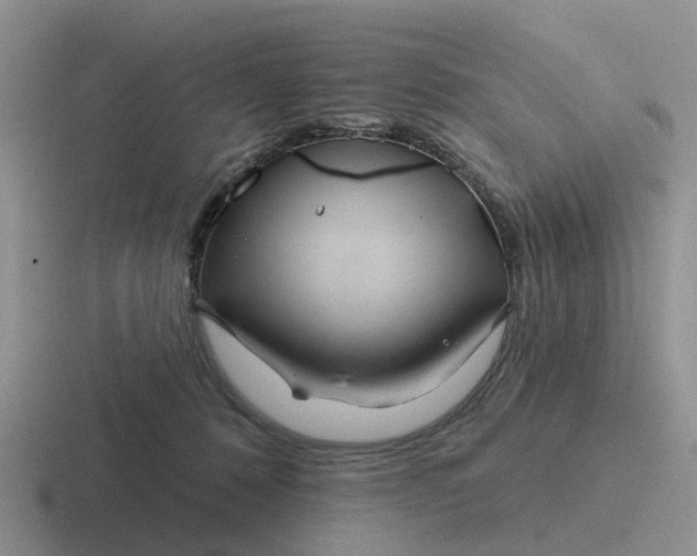 X0000116870320201001051449