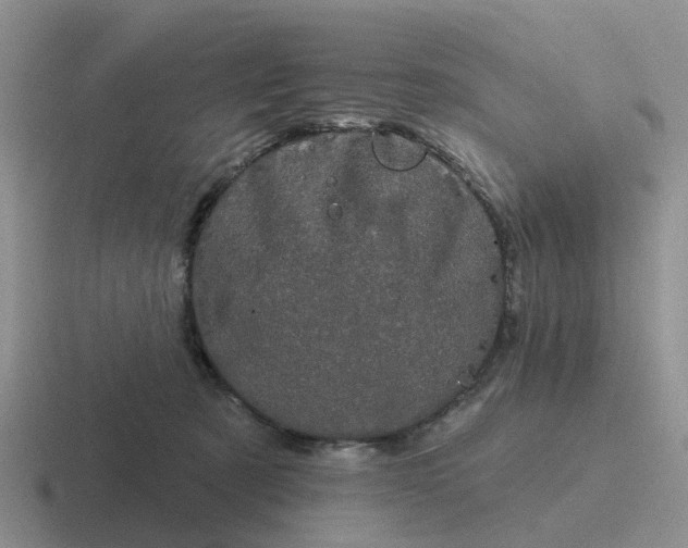 X0000116870321201001051449