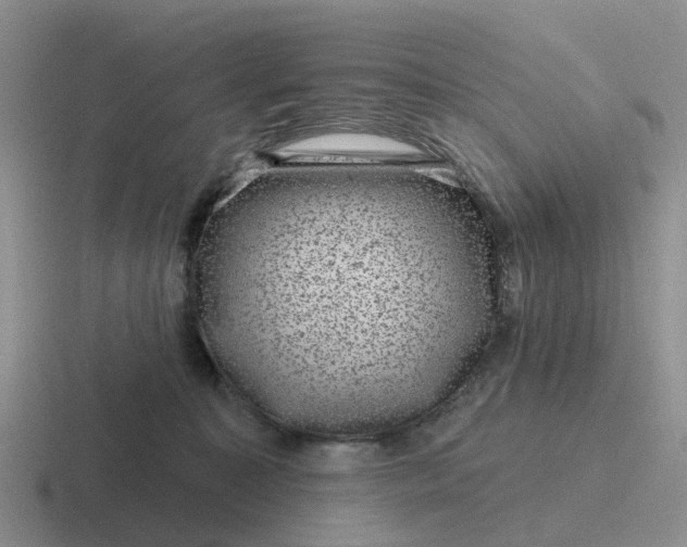 X0000116870323201001051449