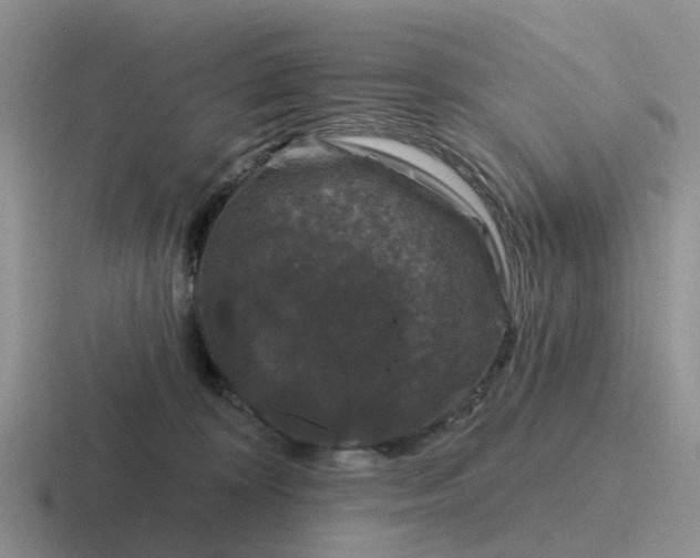 X0000116870324201001051449