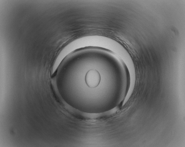 X0000116870325201001051449