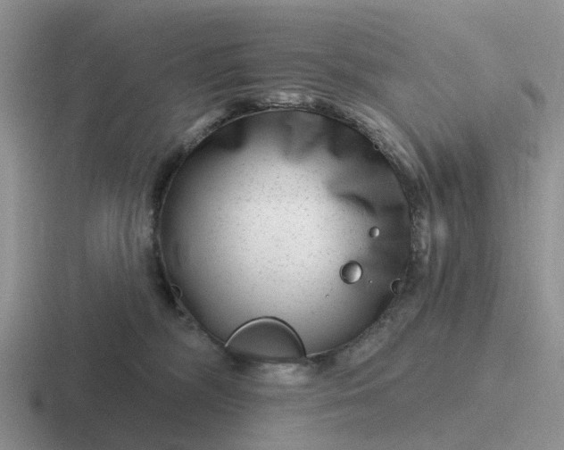 X0000116870326201001051449