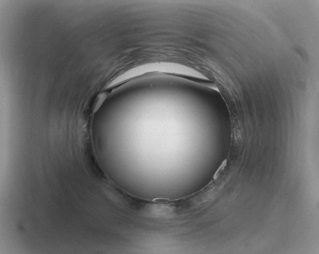 X0000116870327201001051449