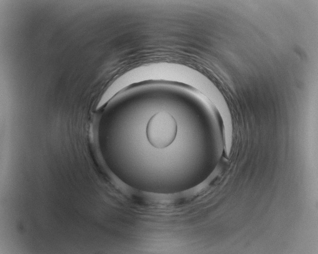 X0000116870328201001051449