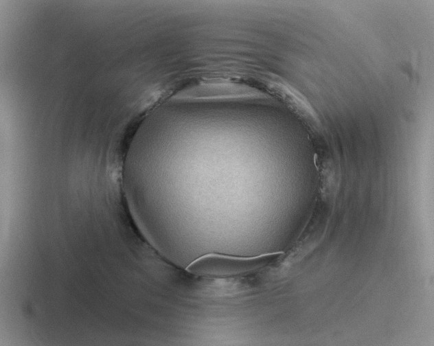 X0000116870329201001051449