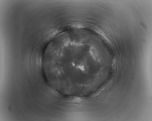 X0000116870330201001051449